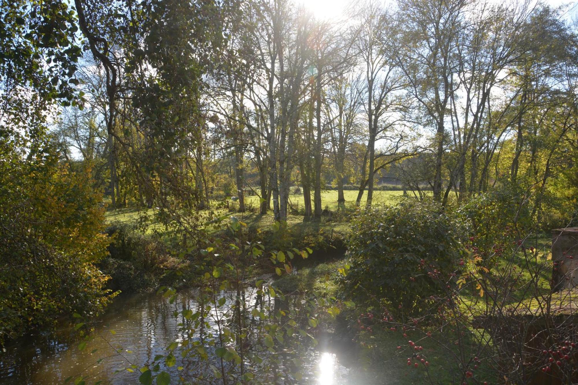 Le Moulin Grenon Bed & Breakfast Mezilles ภายนอก รูปภาพ